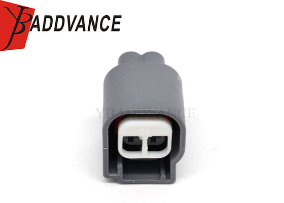 WPT-1243 Waterproof 2 Pin Female Automotive Connector Housing For Ford