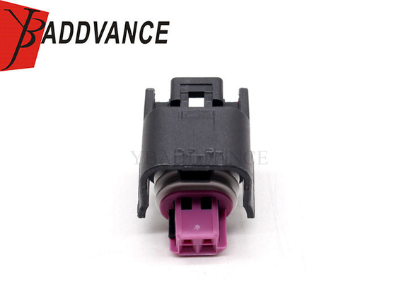  GT150 2 Way Sealed 13520101 Female Waterproof Automotive Connector